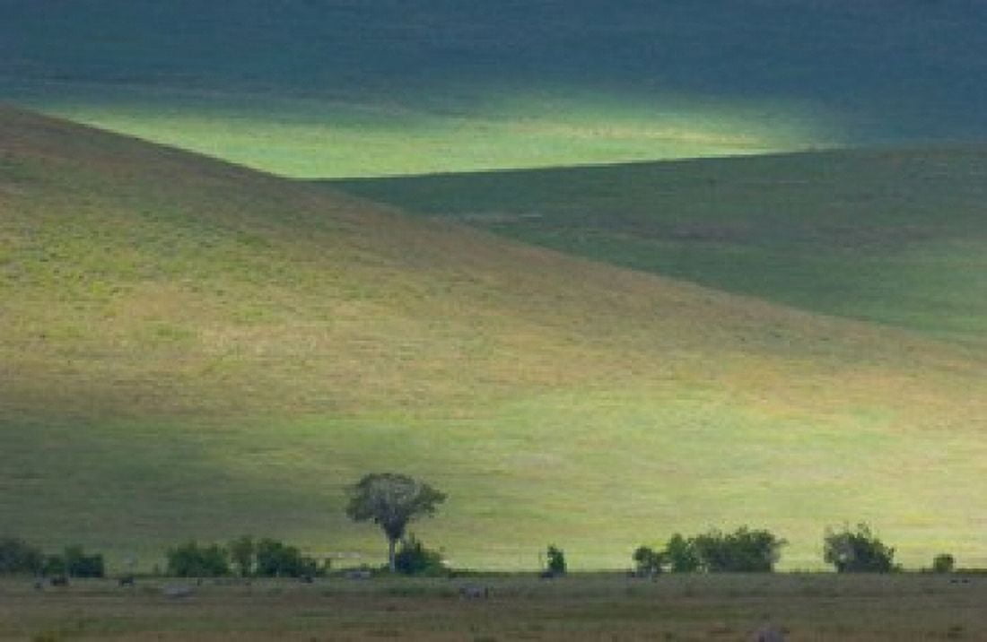 Panoramic view of hill Ngorongoro Crater Arusha Region Tanzania Canvas Art - Panoramic Images (16 x 11)