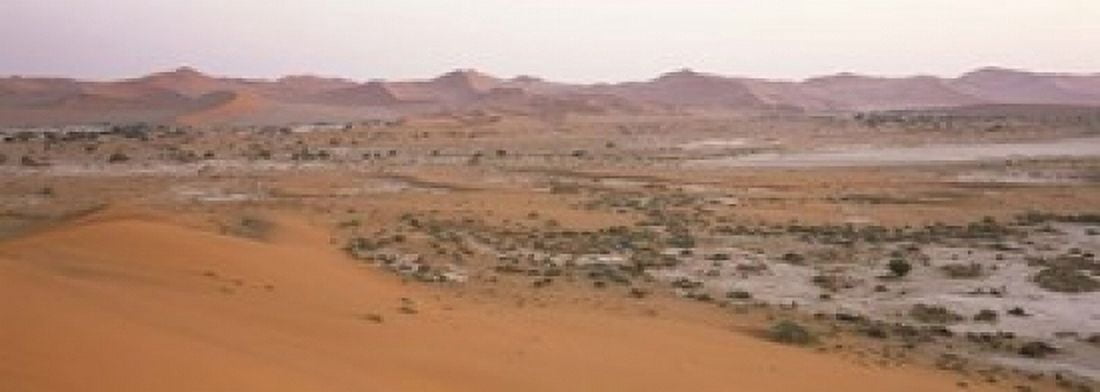 Panoramic view of sand dunes viewed from Big Daddy Dune Sossusvlei Namib Desert Namibia Canvas Art - Panoramic Images (18 x 7)