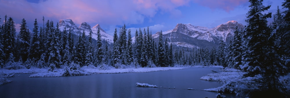 Panoramic view of snowcapped trees and mountains Bow Valley Alberta Canada Canvas Art - Panoramic Images (36 x 12)