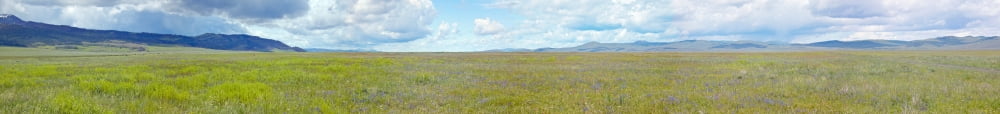 Panoramic view of spring grasslands and mountains in Centennial Valley near Lakeview MT Canvas Art - Panoramic Images (44 x 6)