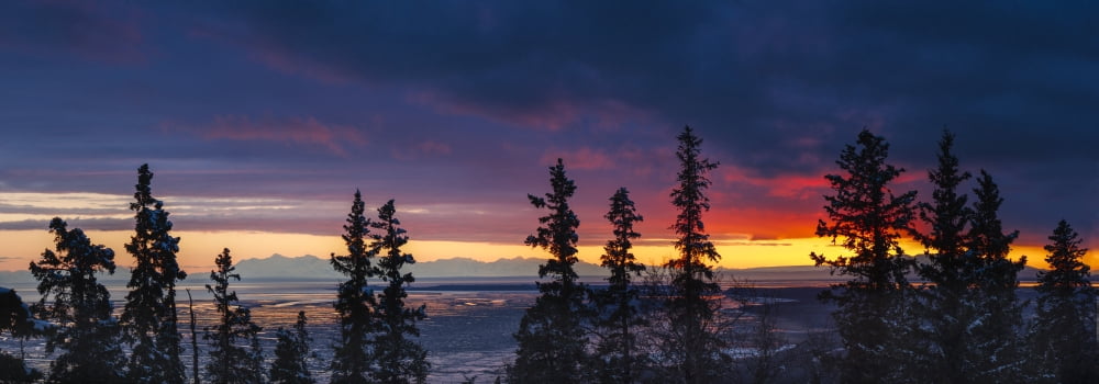 Panoramic view of sunset over the Cook Inlet from the Anchorage hillside Southcentral Alaska Canvas Art - Carl Johnson Design Pics (44 x 15)