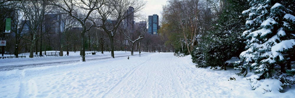 Panoramic view of walker in Central Park Manhattan New York City NY after winter snowstorm Canvas Art - Panoramic Images (36 x 12)