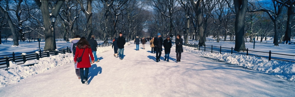Panoramic view of pedestrians walking on fresh snow in Central Park Manhattan New York City NY on a sunny winter day Canvas Art - Panoramic Images (27 x 9)