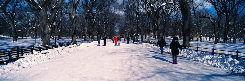 Panoramic view of pedestrians walking on fresh snow in Central Park Manhattan New York City NY on a sunny winter day Canvas Art - Panoramic Images (36 x 12)