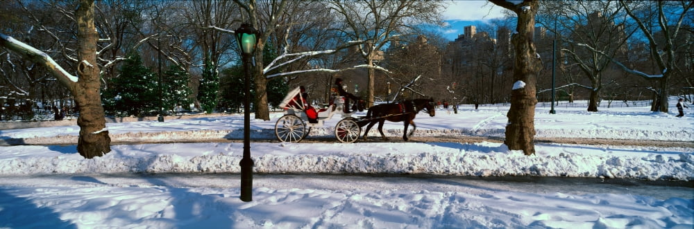 Panoramic view of snowy city street lamps horse and carriage in Central Park Manhattan New York City NY on a sunny winter day Canvas Art - Panoramic Images (36 x 12)