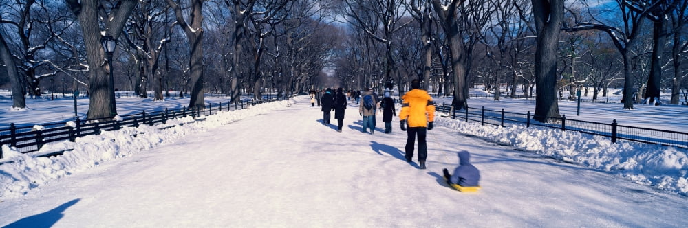 Panoramic view of walker pulling sled with child on fresh snow in Central Park Manhattan New York City NY in winter Canvas Art - Panoramic Images (27 x 9)