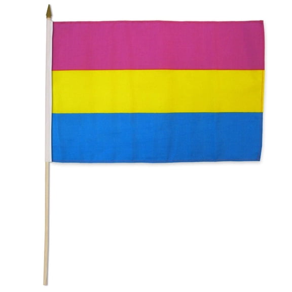 Pansexual 12x18in Stick Flag
