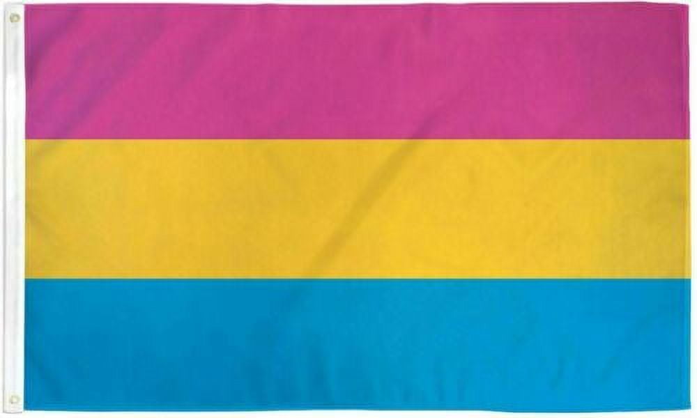 Pansexual Flag 2x3ft LGBTQIA Pan Pride Pansexual Pride Flag Pansexual Flag 2x3ft LGBTQIA Pan Pride Pansexual Pride Flag