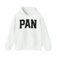 thumbnail image 1 of Pansexual Pan Pride 70s Retro LGBT LGBTQ Hoodie, Gifts, Hooded Sweatshirt, 1 of 4