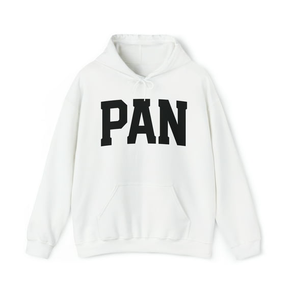 Pansexual Pan Pride 70s Retro LGBT LGBTQ Hoodie, Gifts, Hooded Sweatshirt