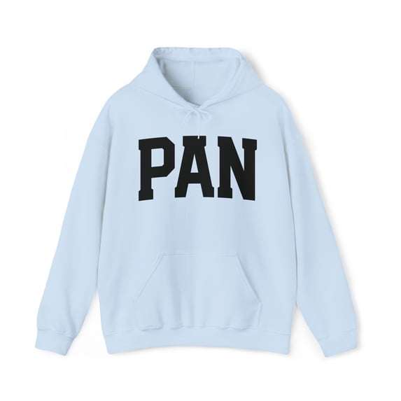 Pansexual Pan Pride 70s Retro LGBT LGBTQ Hoodie, Gifts, Hooded Sweatshirt
