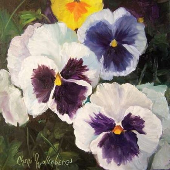 Pansies Canvas Art - Cheri Wollenberg (24 x 24)