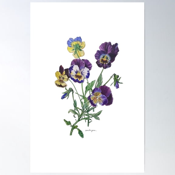 Pansies Poster Wall Art, Modern Wall Decor For Living Room Bedroom, 12x18 UNFRAMED