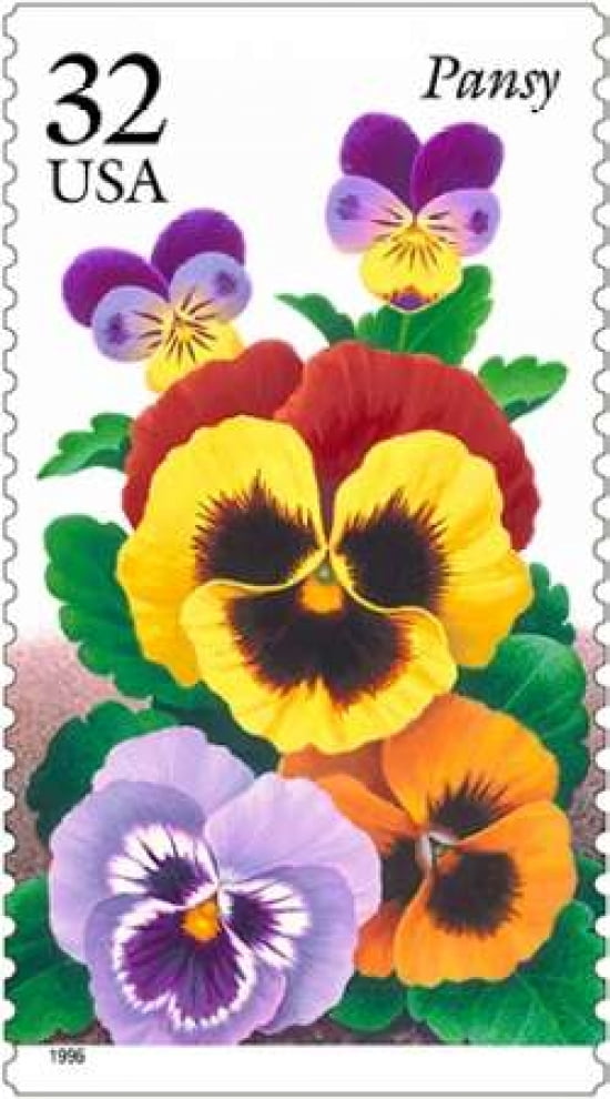Pansy Canvas Art - US POSTAL SERVICE (12 x 18)