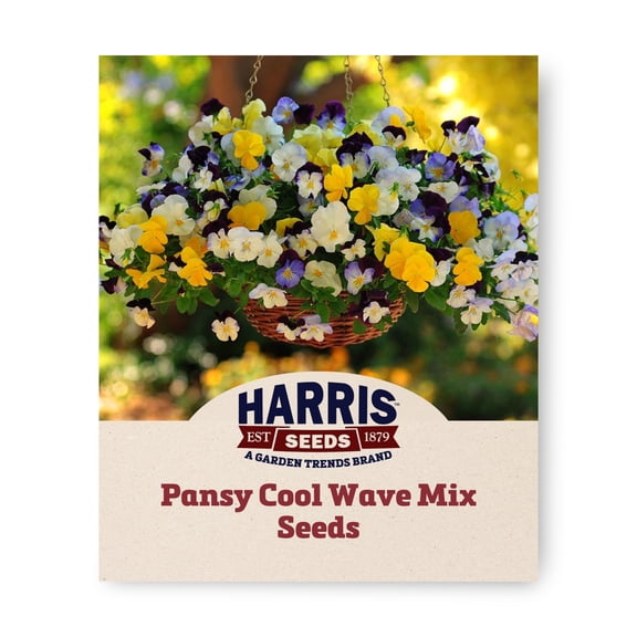 Harris Seeds Pansy Cool Wave Mix, Spreading Multicolor Flowers for Pots and Ground Cover, 25 Count