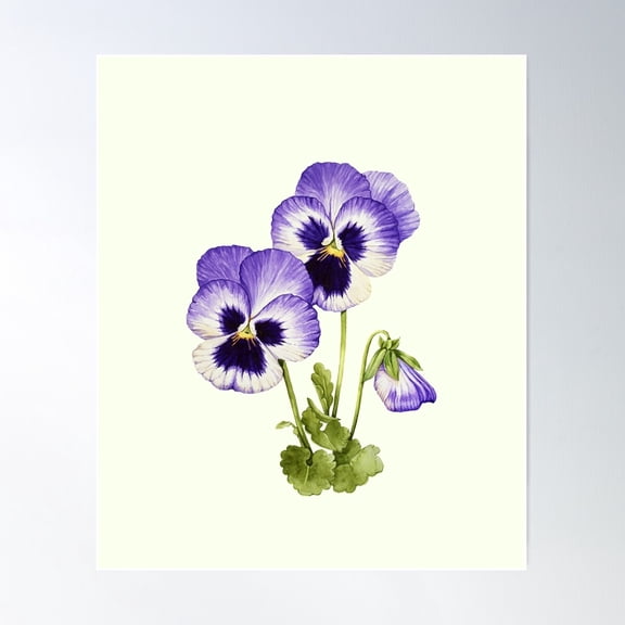 Pansy Pansies Vintage Poster Wall Art, Modern Wall Decor For Living Room Bedroom, 24x24 UNFRAMED
