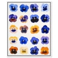 thumbnail image 1 of Pansy Patch Grid III Canvas Print Flower Art Decor by Art Remedy, White Frame, 16 x 20, 1 of 6