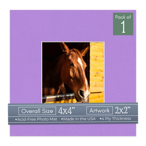 Pansy Purple Picture Frame Mat for 4x4 Inch Frames - Fits 2x2 Photos - 1 Mat