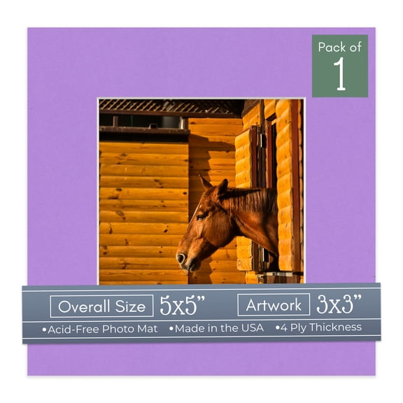 Pansy Purple Picture Frame Mat for 5x5 Inch Frames - Fits 3x3 Photos - 1 Mat