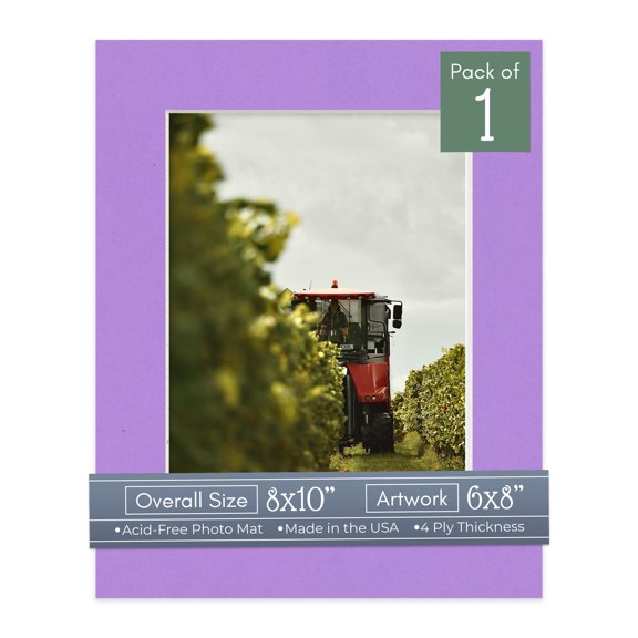 Pansy Purple Picture Frame Mat for 8x10 Frames - Fits 6x8 Photos - 1 Mat