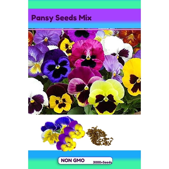 Pansy Seeds for Planting- 500 Mixed Pansy Flower Seeds, Perennial Non-GMO Seed for Garden Outside Indoor