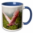 thumbnail image 1 of 3drose, Pantanal, Brazil, Roseate Spoonbill Bird - Sa04 Jmc0043 - Joe and Mary Ann Mcdonald, 15oz Two-tone Blue Mug, 1 of 6