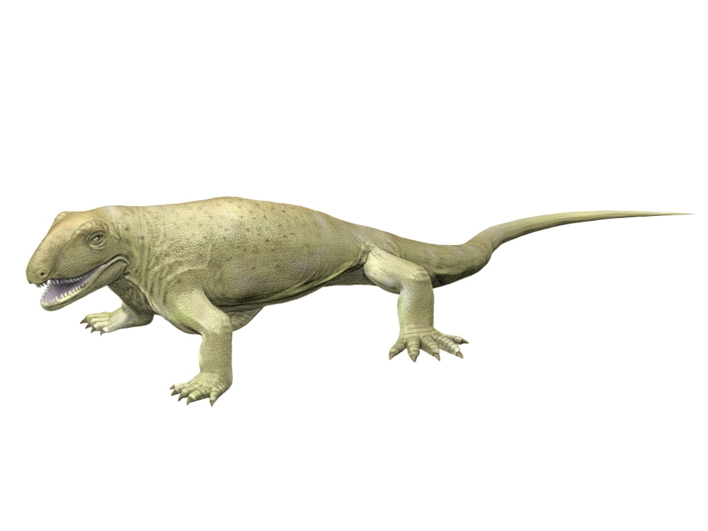 Pantelosaurus saxonicus Early Permian of Germany Canvas Art - Nobumichi TamuraStocktrek Images (33 x 25)