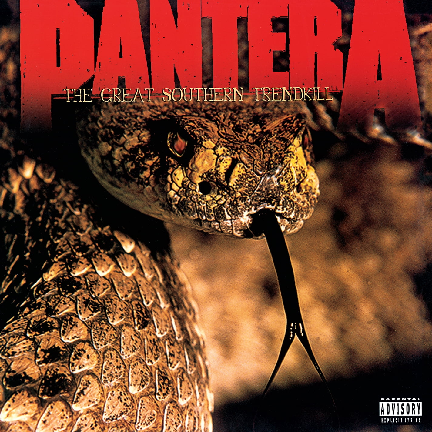 PANTERA THE GREAT SOUTHERN TRENDKILLレコード Pantera - Great Southern Trendkill - Music & Performance