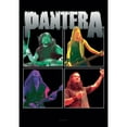 thumbnail image 1 of Pantera - Poster Flag, 1 of 1