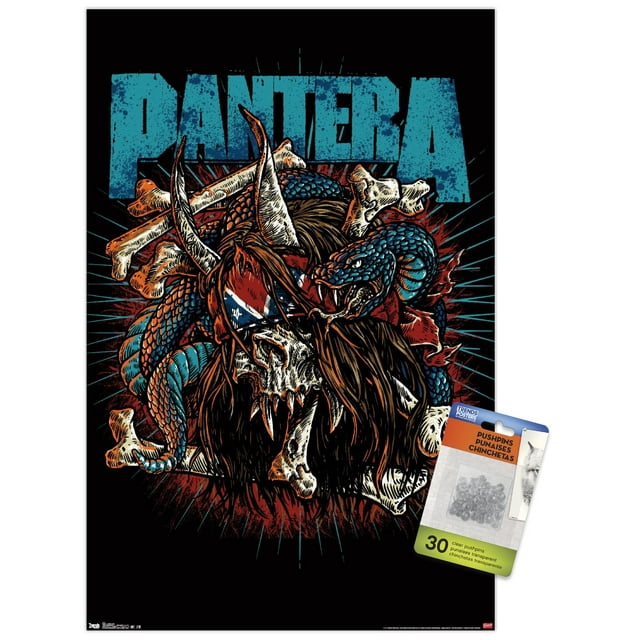 Pantera - Rocker Skull - Walmart.com