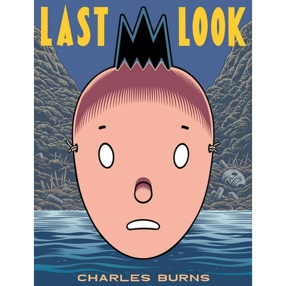 Pantheon Graphic Library Last Look, (Paperback)