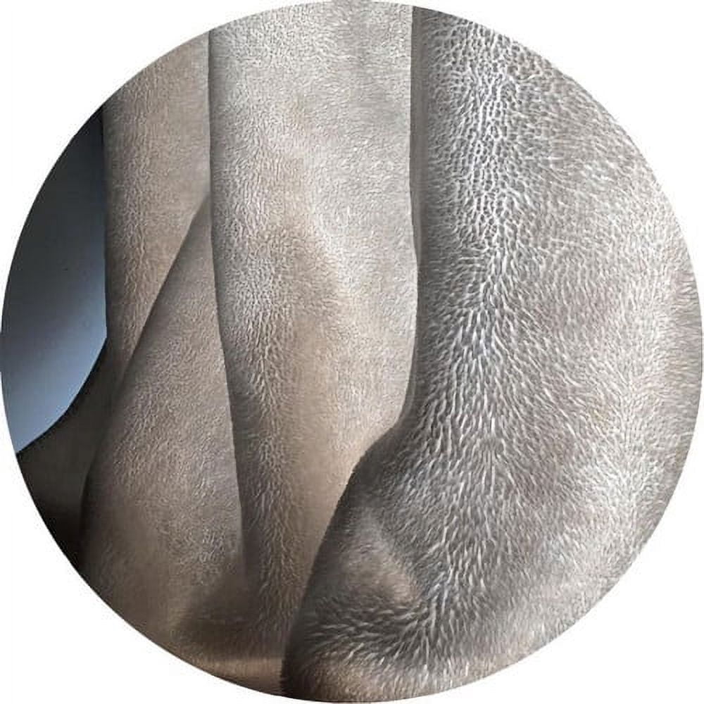 Panthera Krause - Cloud Cake - Music & Performance - Vinyl