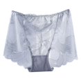 thumbnail image 1 of Panties for Women,High Waist Seamless Lace Briefs for Women Plus Size Comfortable Everyday Underwear,Womens Underwear,Grey,2XL, 1 of 3