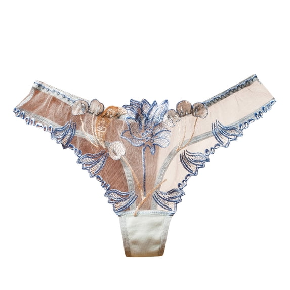 Panties for Womens Underwear Sheer Mesh Full Transparent Embroidery Sexy Breathable Briefs Blue One Size