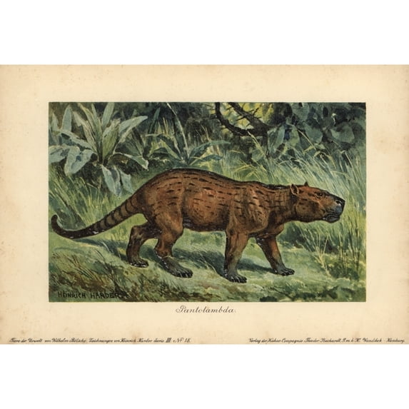 Pantolambda An Extinct Genus Of Paleocene Pantodont Mammal Poster Print By ?? Florilegius Mary Evans
