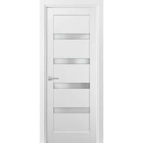 Pantry Kitchen Lite Door 24 x 80 with Hardware | Quadro 4113 White Silk with Frosted Opaque Glass | Single Panel Frame Trims | Bathroom Bedroom Sturdy Doors