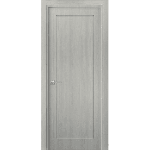 Pantry Kitchen Lite Pre-Hung Door with Hardware | Quadro 4111 Grey Ash | Single Panel Frame Trims | Bathroom Bedroom Sturdy Doors -18" x 84"