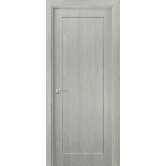 Pantry Kitchen Lite Pre-Hung Door with Hardware | Quadro 4111 Grey Ash | Single Panel Frame Trims | Bathroom Bedroom Sturdy Doors -28" x 96"