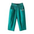 thumbnail image 1 of Pants for Women Fashion Solid Cotton Linen Flax Elastic Pants Beach Leisure Trousers Cropped Shorts, 1 of 4