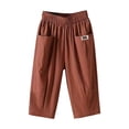 thumbnail image 1 of Pants for Women Fashion Solid Cotton Linen Flax Elastic Pants Beach Leisure Trousers Cropped Shorts, 1 of 4