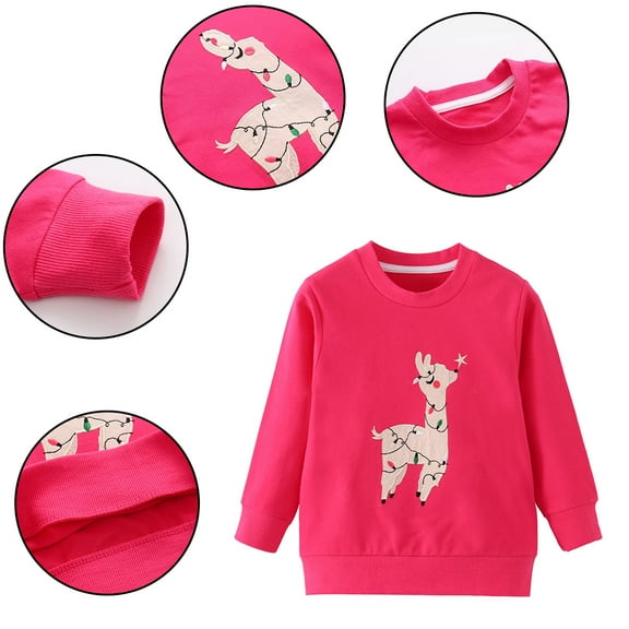 Paokuoon Baby Girls Fall Sweatshirts 1-8 Y Cartoon Long Sleeve Sweaters for Kids Toddler T-Shirt