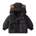 thumbnail image 1 of Paokuoon Kids Boys Winter Coat Hooded Cotton for Toddler 2-7Y Thickened Solid Color Outerwear, 1 of 9