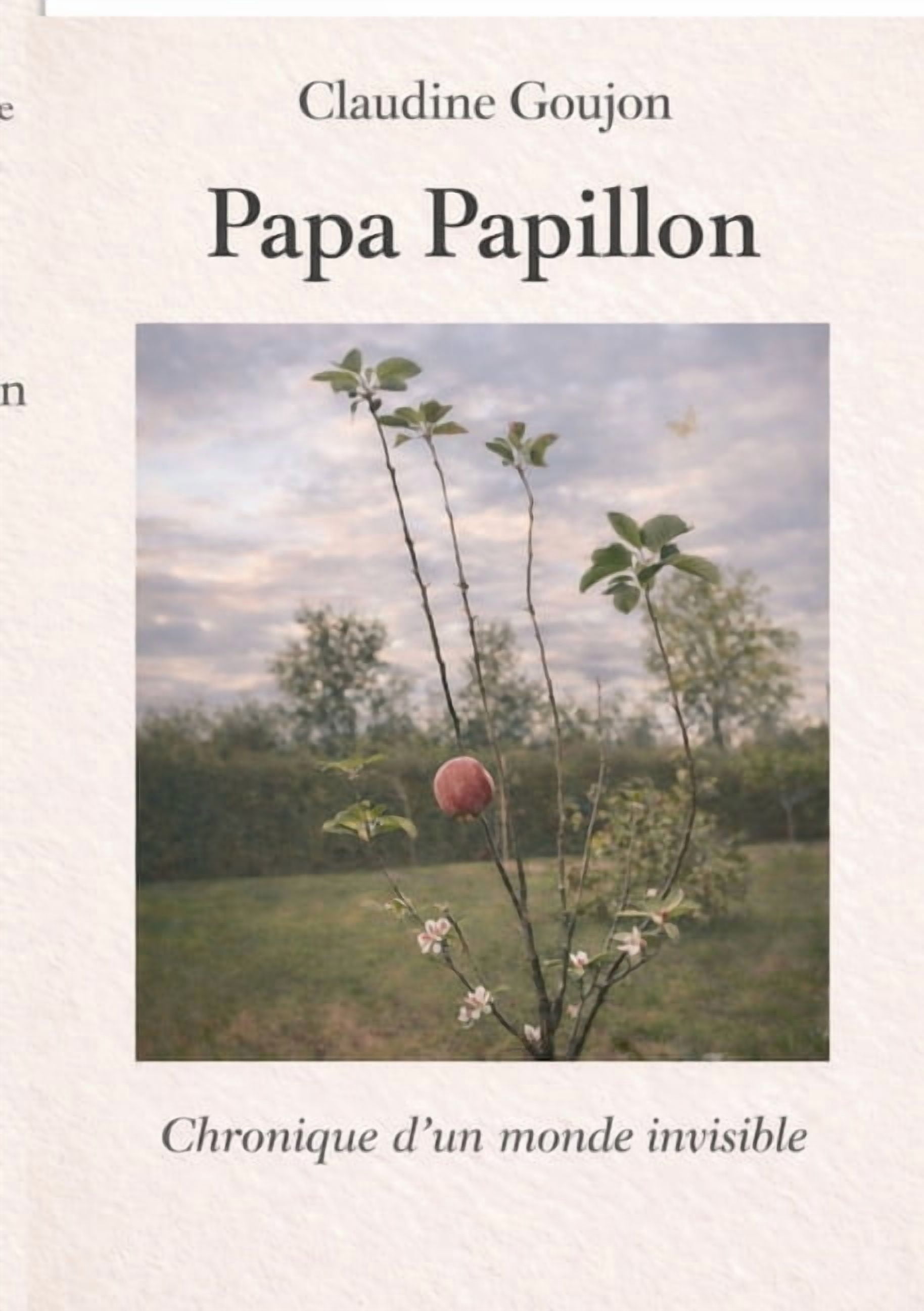 Papa Papillon: Chronique d un monde invisible, (Paperback)