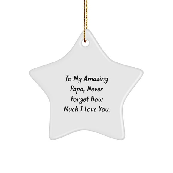 Papa's Amazing Star Ornament, To My Amazing Papa, Never Forget How Much I Love You., Gifts from Family, Gifts for Papa, Christmas Unique Gifts