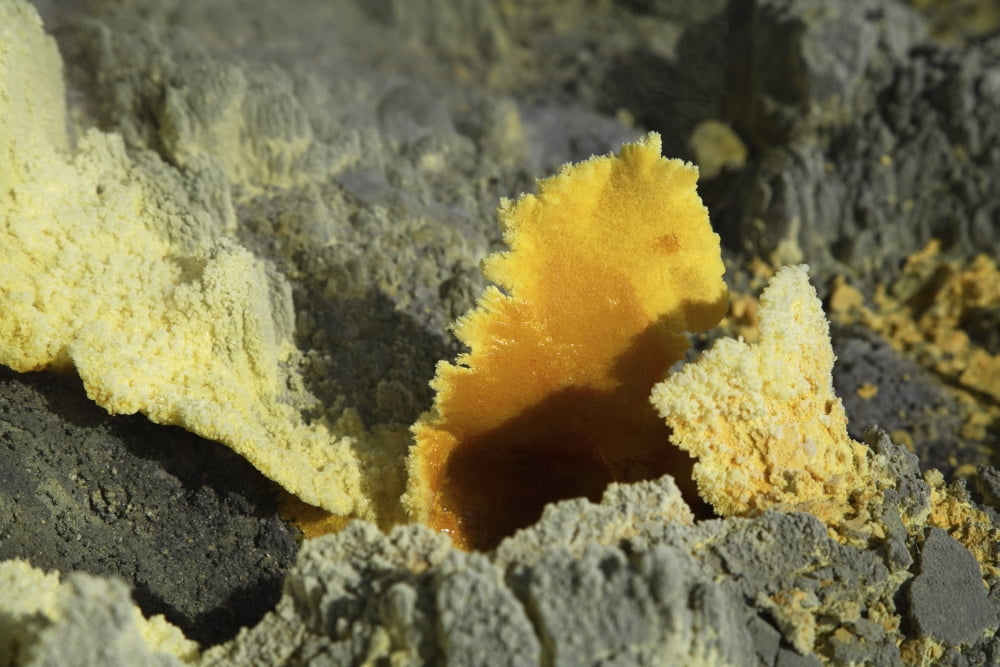 Papandayan sulfur cone Java Island Indonesia Canvas Art - Martin RietzeStocktrek Images (17 x 12)