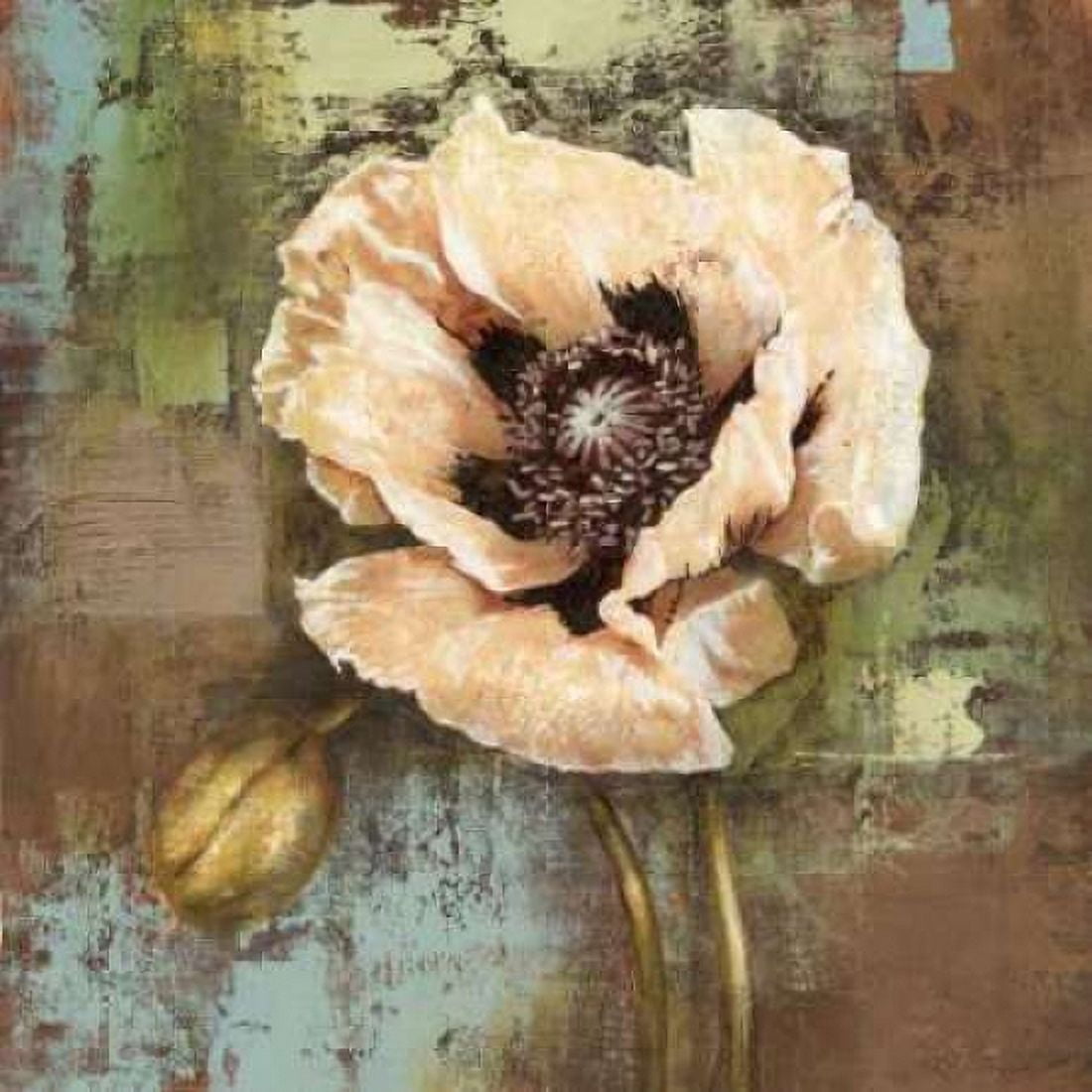 Papaver I Canvas Art - Selina Werbelow (24 x 24)