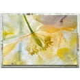 thumbnail image 1 of Papaver Ice Distressed Frame, 1 of 2