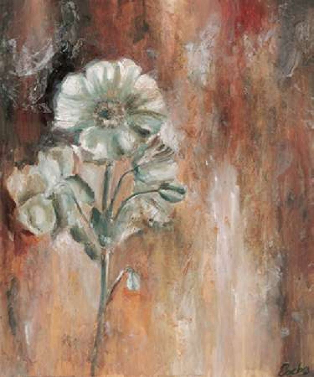 Papaveraceae I Canvas Art - Escha van den Bogerd (20 x 24)