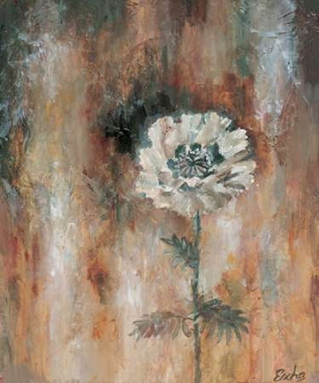 Papaveraceae II Canvas Art - Escha van den Bogerd (20 x 24)