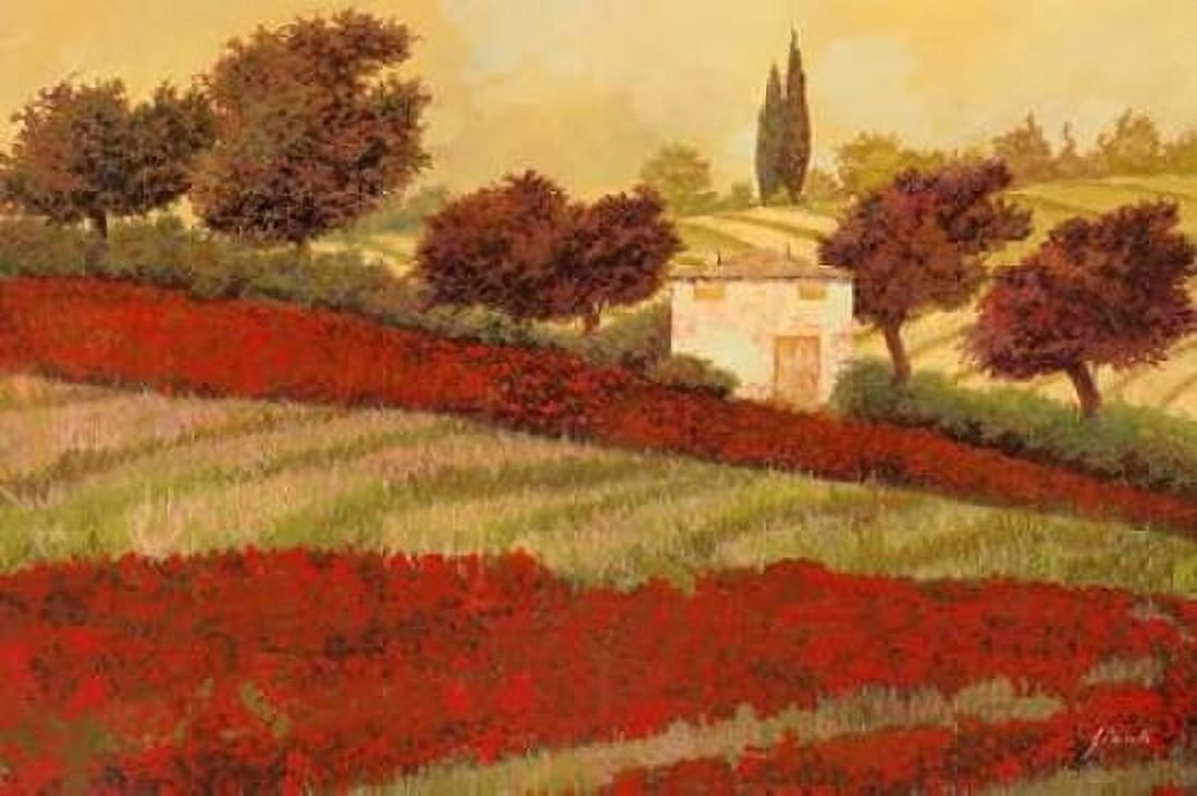 Papaveri Toscana I Canvas Art - Guido Borelli (12 x 18)